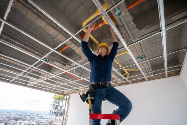 Best Sewer Line Repair  in Holiday Heights, NJ